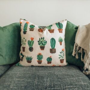 Cushion